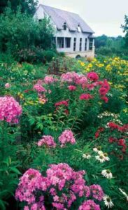 Family Homesteading in California and Iowa Image